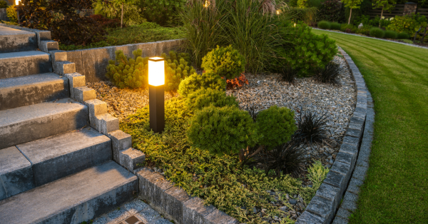 A garden led light illuminating concrete steps surrounded by short garden bush